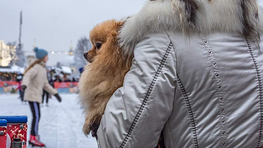 ���� ����� ��������� ����� ��� �������� �������� ����� ��������� � ��������