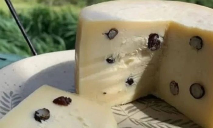 ��� � ���������-�����������: �������� �������� ����������� ���