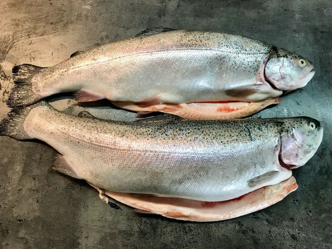 ��� ��������� ��������� � ������� ����: ������ ������� ���������