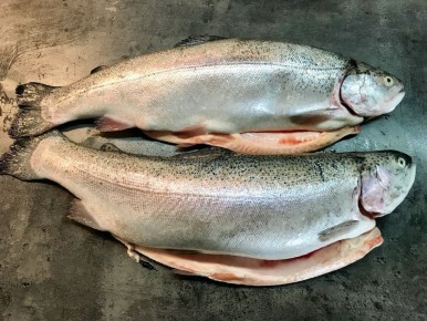 ��� ��������� ��������� � ������� ����: ������ ������� ���������