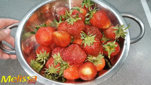 ������ �� ��������: ������ ������ ��� ��������