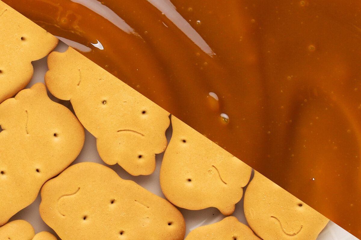 ������ ����������: ������ ������� ������� ������ � �������� � ���������