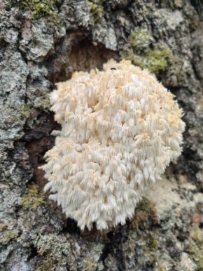 ������ ���������� ���� ������ ������� ��������� ������