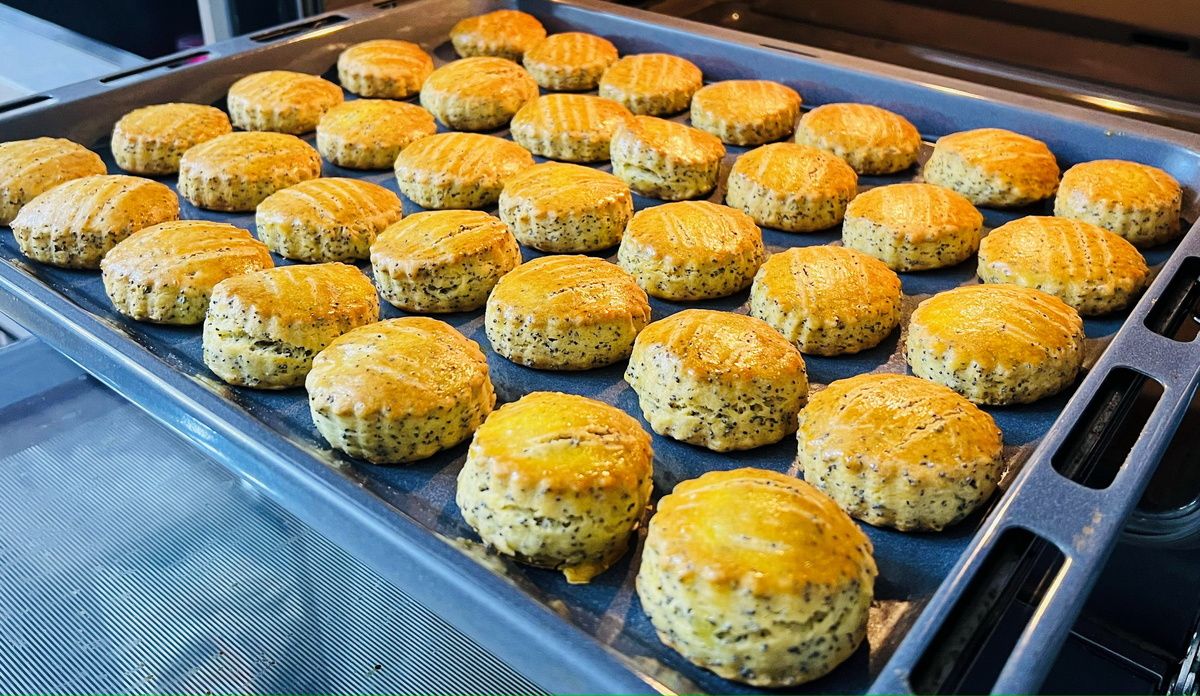 ����������� � ���: ���������� ������� �� ������ �� ��������� ������