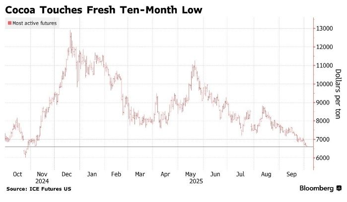 �����: ���� ������ �� ���� �������� ������ � ������������� ���������