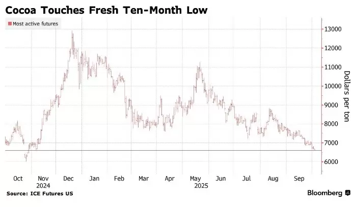 Какао: цены падают на фоне удачного урожая и оптимистичных прогнозов