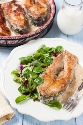 ������ ���� � �������-������� �����: ������� ������ ��� ��������