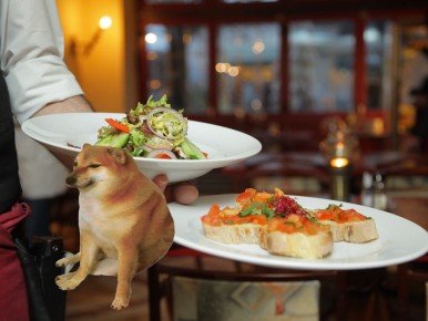 ��� �������� �� �������� ��������� ���������� � ����������� ����