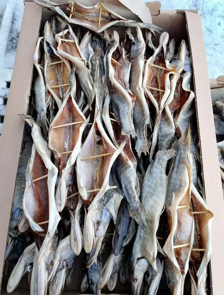 Нежная вяленая щука