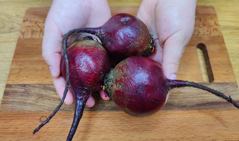 ��� ����������� ����� �������������: ��������� ��������� ��� ������ �����