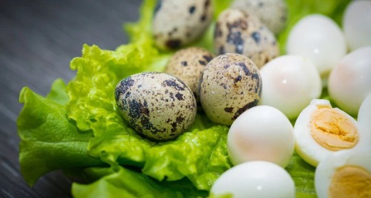 ������� ����������� ����: ������� ����� � �������