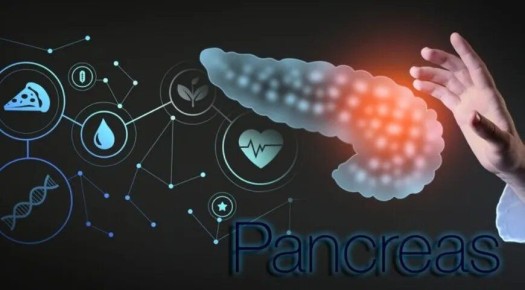 ����������: ���������� � ������� �����������