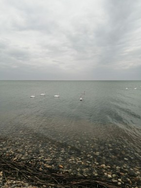 ���������� ����: ��� ���������� ���� ���������� ��� �����