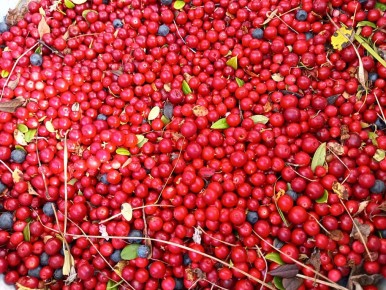 ��������� �������: ��� ��������� �������� ������ ��� ������ � �����