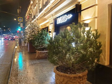 ����� ����������� �������� Avero mio �� ��������: ���� ��� ����� �� 14,400 ������