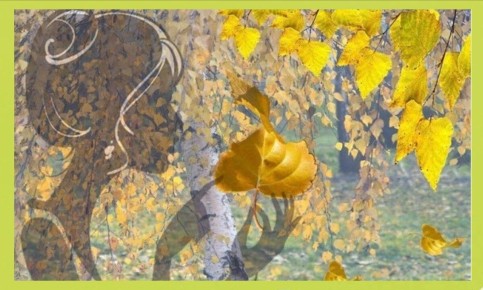 ������� ��� ��������: ��� ���������� �� ������� �������� � �������?