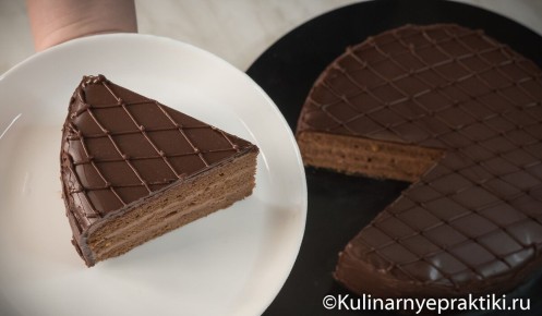 ���� �����: ������� ��������� ���������