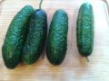 Вкусные малосольные огурцы в паназиатском варианте