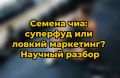 ������ ���: ���� � ����� � ���������